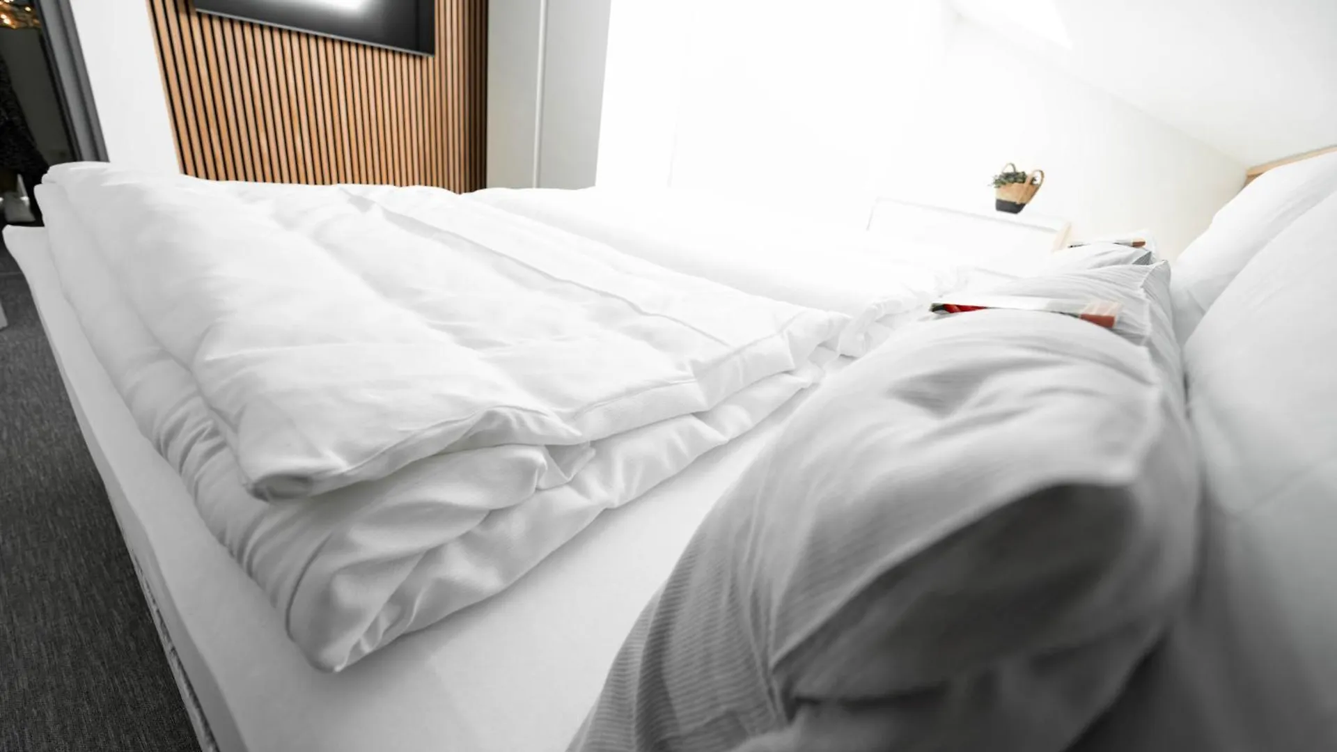 Boutique Hotel Greenleaf Sinzing Aparthotel